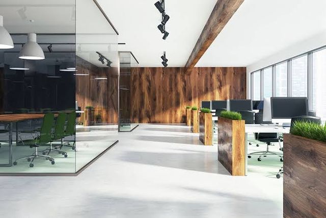 Bright reception with timber feature wall