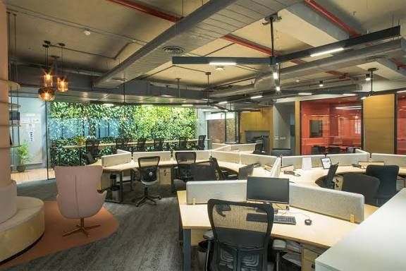 Coworking zone with planting